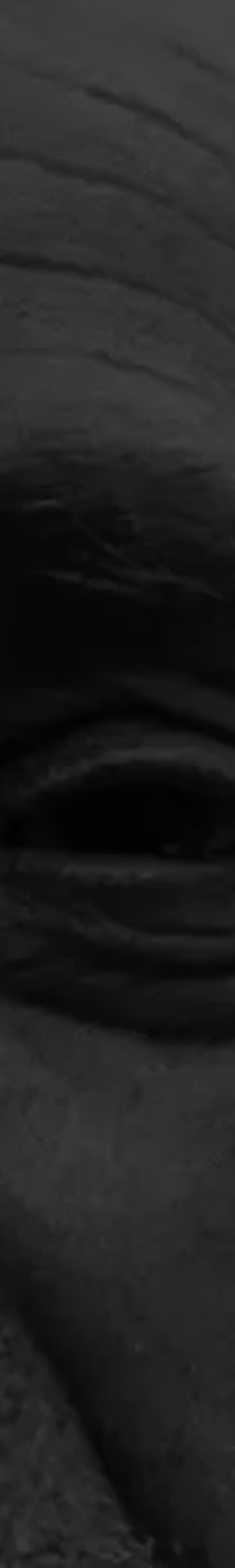 marco di stefano composer